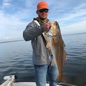 Meet your Posher, Jackson